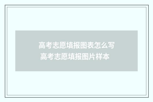 高考志愿填报图表怎么写 高考志愿填报图片样本