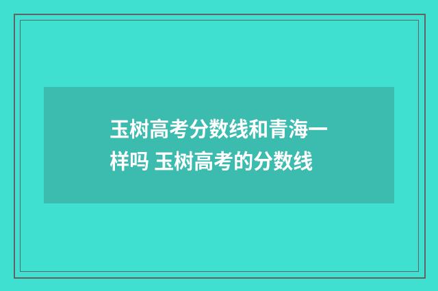 玉树高考分数线和青海一样吗 玉树高考的分数线