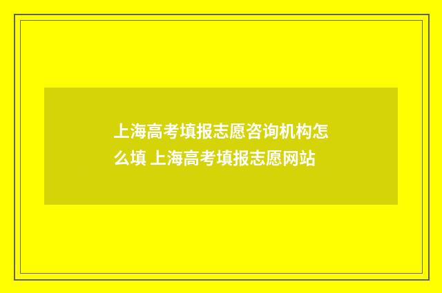 上海高考填报志愿咨询机构怎么填 上海高考填报志愿网站