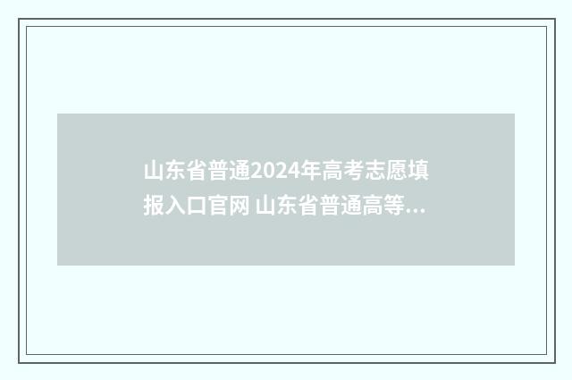 山东省普通2024年高考志愿填报入口官网 山东省普通高等学校招生信息平台
