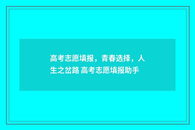 高考志愿填报，青春选择，人生之岔路 高考志愿填报助手
