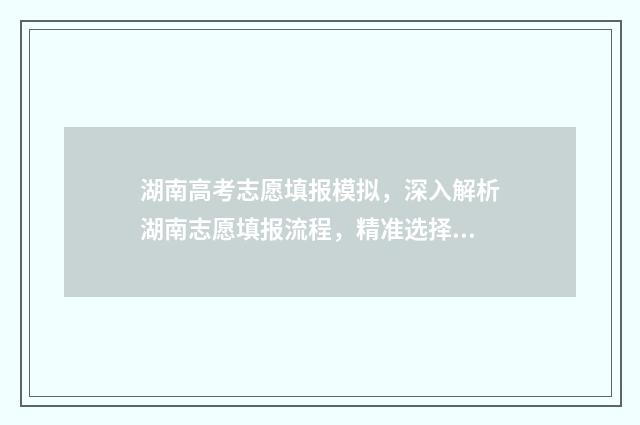 湖南高考志愿填报模拟，深入解析湖南志愿填报流程，精准选择心仪院校 湖南高考志愿填报表