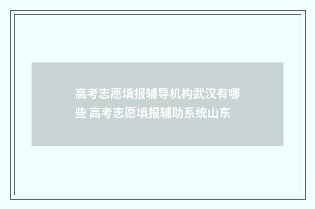 高考志愿填报辅导机构武汉有哪些 高考志愿填报辅助系统山东