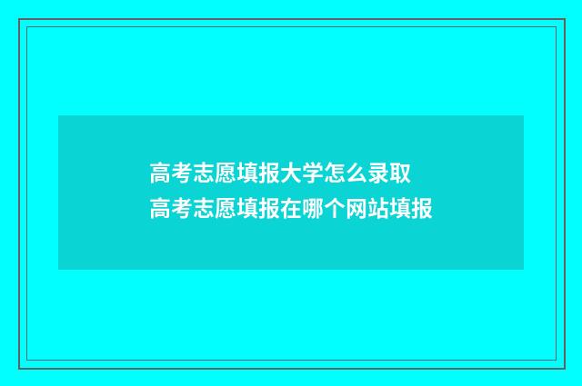 高考志愿填报大学怎么录取 高考志愿填报在哪个网站填报