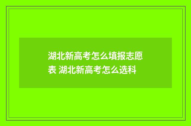 湖北新高考怎么填报志愿表 湖北新高考怎么选科