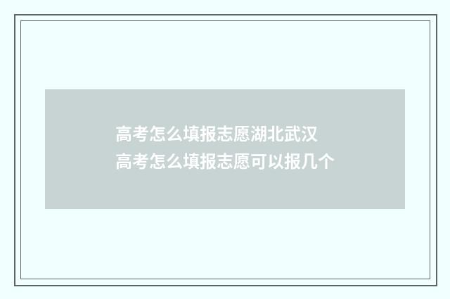 高考怎么填报志愿湖北武汉 高考怎么填报志愿可以报几个