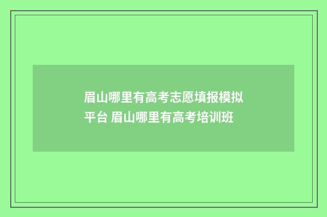 眉山哪里有高考志愿填报模拟平台 眉山哪里有高考培训班