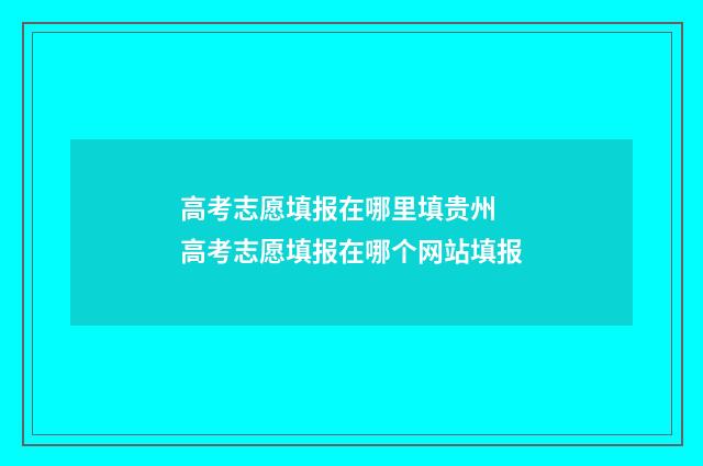 高考志愿填报在哪里填贵州 高考志愿填报在哪个网站填报