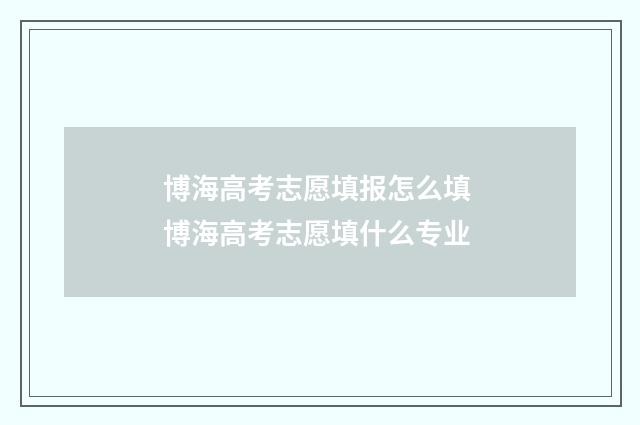 博海高考志愿填报怎么填 博海高考志愿填什么专业