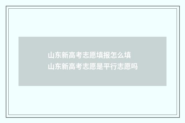 山东新高考志愿填报怎么填 山东新高考志愿是平行志愿吗
