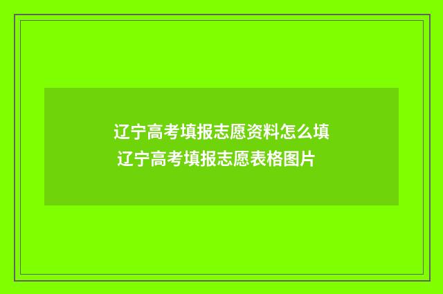 辽宁高考填报志愿资料怎么填 辽宁高考填报志愿表格图片