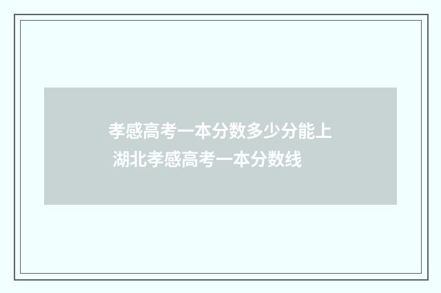 孝感高考一本分数多少分能上 湖北孝感高考一本分数线