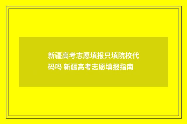 新疆高考志愿填报只填院校代码吗 新疆高考志愿填报指南