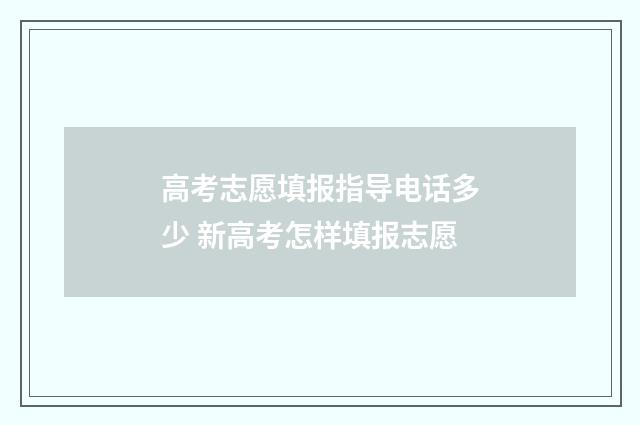 高考志愿填报指导电话多少 新高考怎样填报志愿