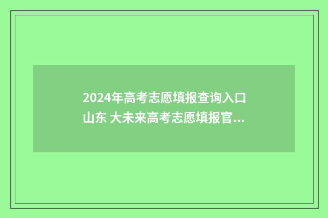 2024年高考志愿填报查询入口山东 大未来高考志愿填报官网