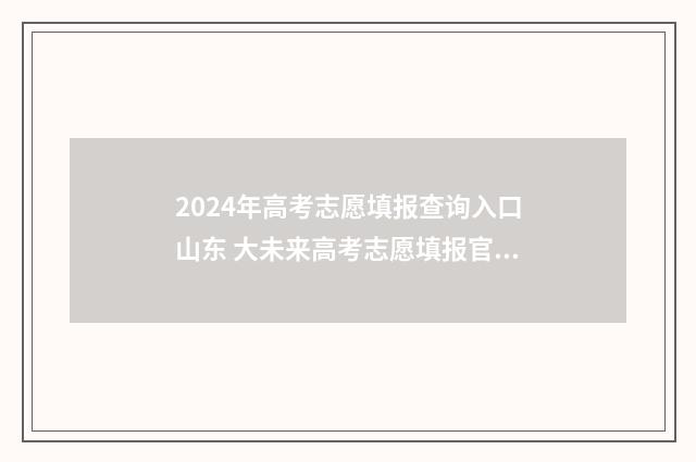 2024年高考志愿填报查询入口山东 大未来高考志愿填报官网