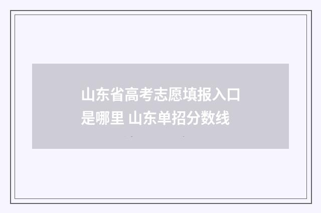 山东省高考志愿填报入口是哪里 山东单招分数线