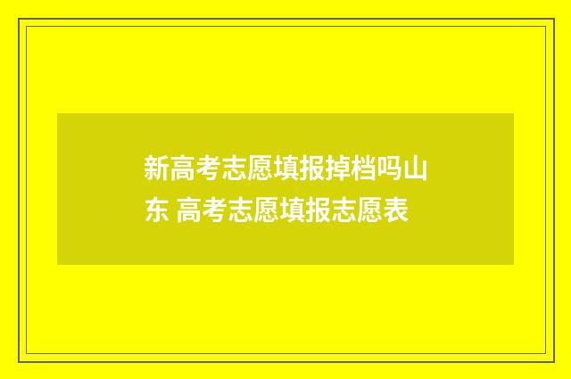 新高考志愿填报掉档吗山东 高考志愿填报志愿表