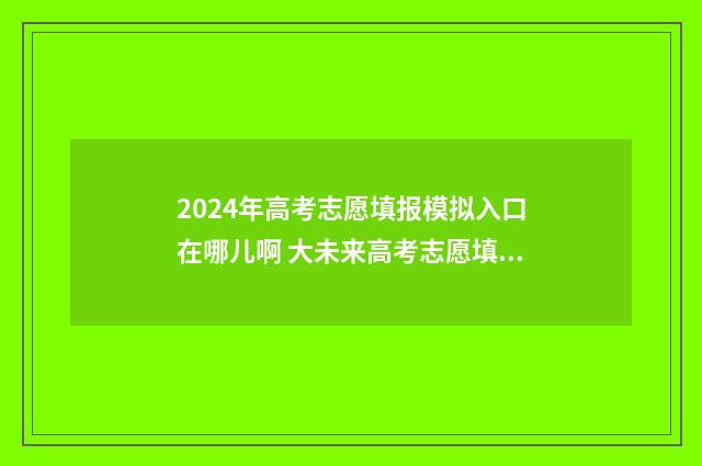 2024年高考志愿填报模拟入口在哪儿啊 大未来高考志愿填报官网