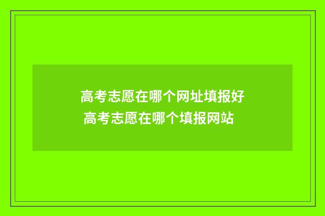 高考志愿在哪个网址填报好 高考志愿在哪个填报网站
