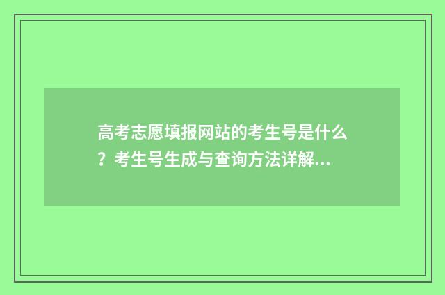 高考志愿填报网站的考生号是什么？考生号生成与查询方法详解 2024高考志愿填报指南