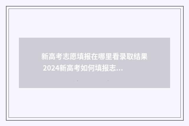 新高考志愿填报在哪里看录取结果 2024新高考如何填报志愿