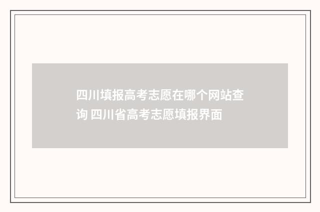 四川填报高考志愿在哪个网站查询 四川省高考志愿填报界面