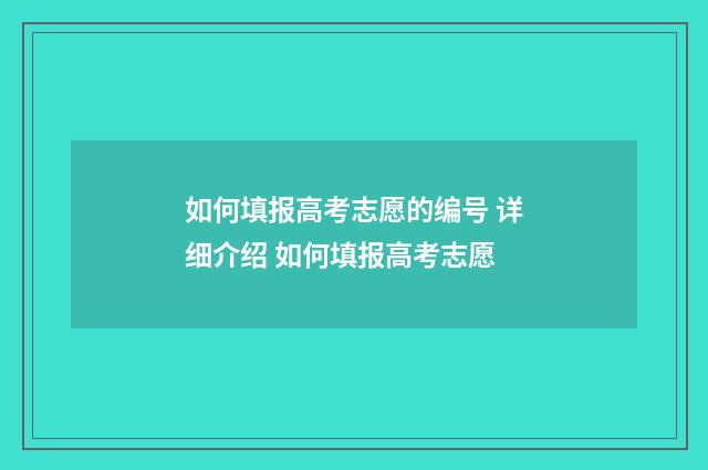 如何填报高考志愿的编号 详细介绍 如何填报高考志愿