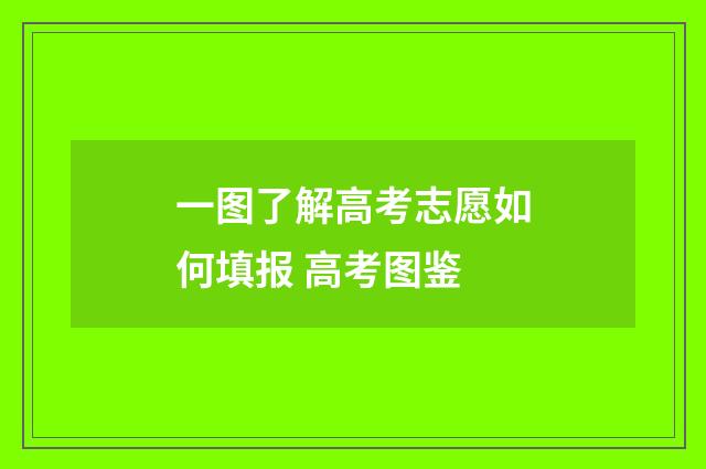 一图了解高考志愿如何填报 高考图鉴