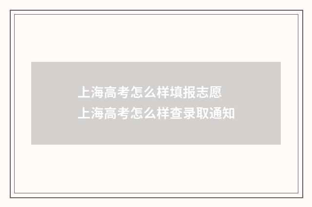 上海高考怎么样填报志愿 上海高考怎么样查录取通知