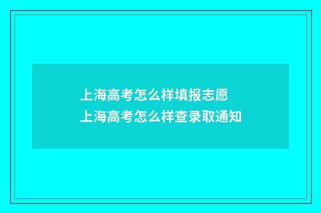 上海高考怎么样填报志愿 上海高考怎么样查录取通知