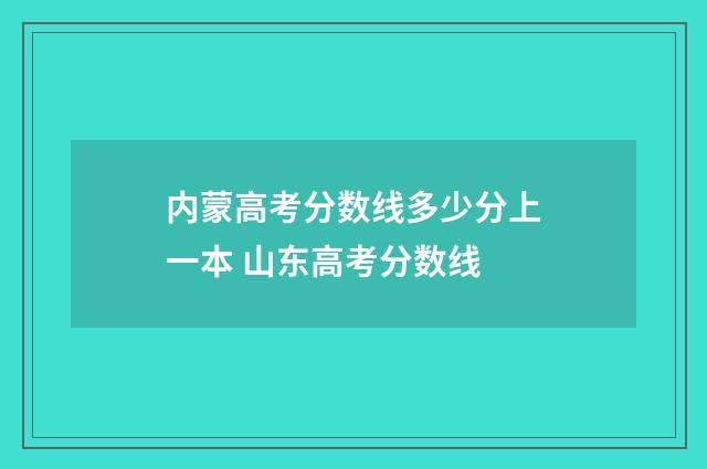 内蒙高考分数线多少分上一本 山东高考分数线