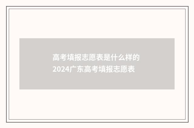 高考填报志愿表是什么样的 2024广东高考填报志愿表