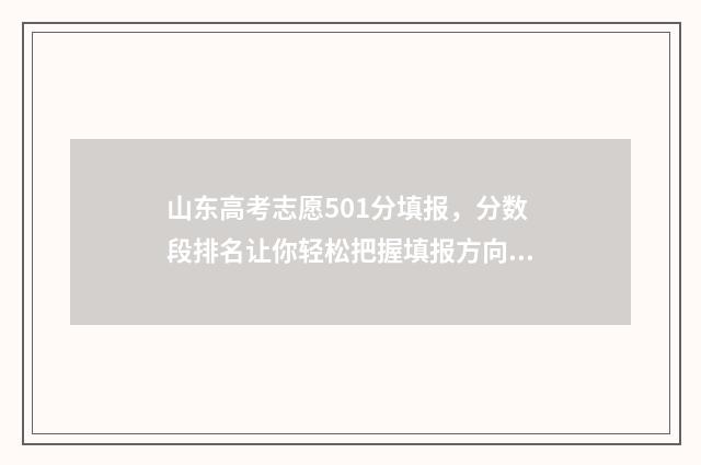 山东高考志愿501分填报，分数段排名让你轻松把握填报方向 山东高考志愿501怎么填