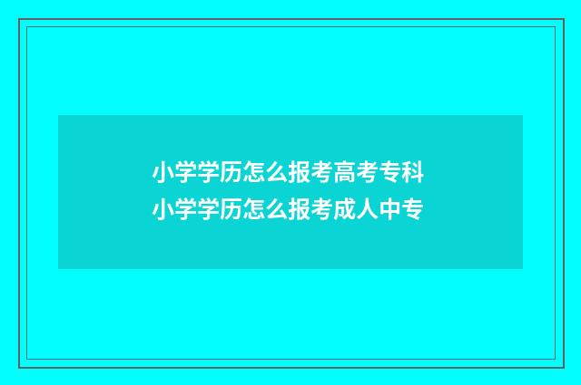 小学学历怎么报考高考专科 小学学历怎么报考成人中专
