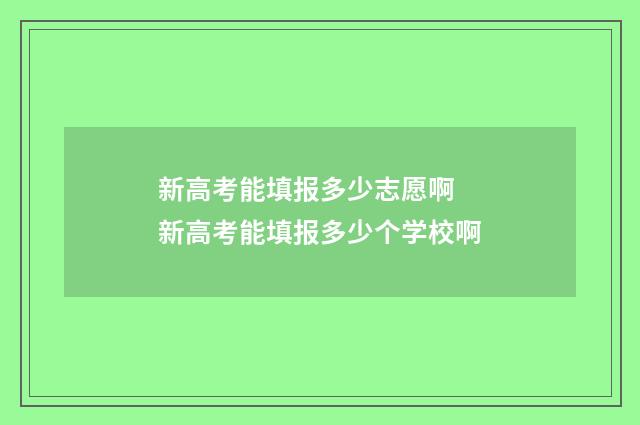 新高考能填报多少志愿啊 新高考能填报多少个学校啊