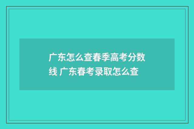 广东怎么查春季高考分数线 广东春考录取怎么查