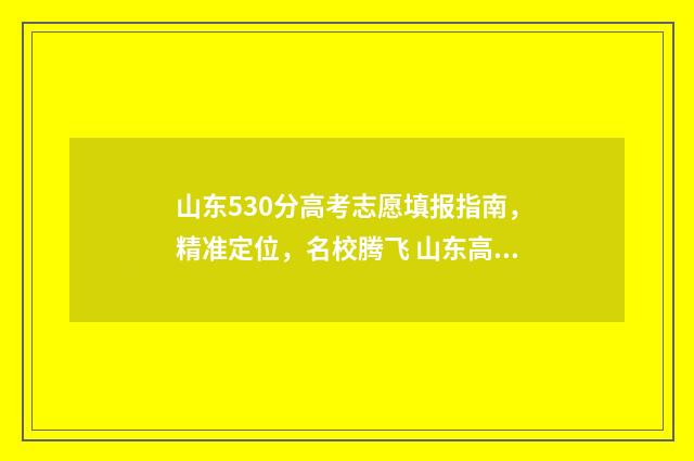山东530分高考志愿填报指南，精准定位，名校腾飞 山东高考509分