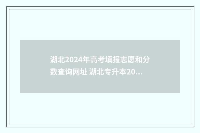 湖北2024年高考填报志愿和分数查询网址 湖北专升本2024年政策
