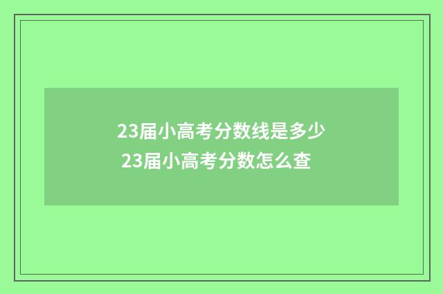 23届小高考分数线是多少 23届小高考分数怎么查