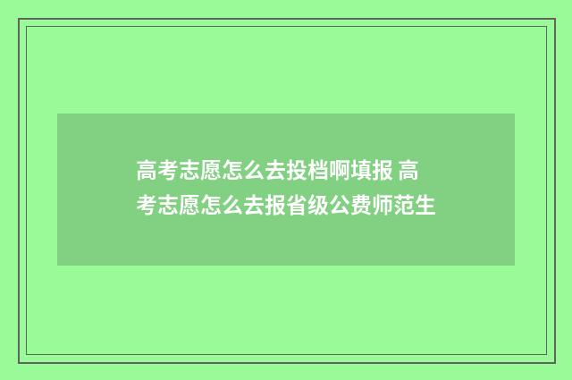 高考志愿怎么去投档啊填报 高考志愿怎么去报省级公费师范生