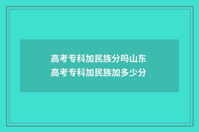 高考专科加民族分吗山东 高考专科加民族加多少分