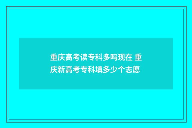 重庆高考读专科多吗现在 重庆新高考专科填多少个志愿