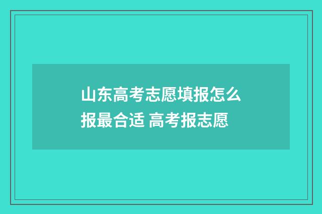 山东高考志愿填报怎么报最合适 高考报志愿