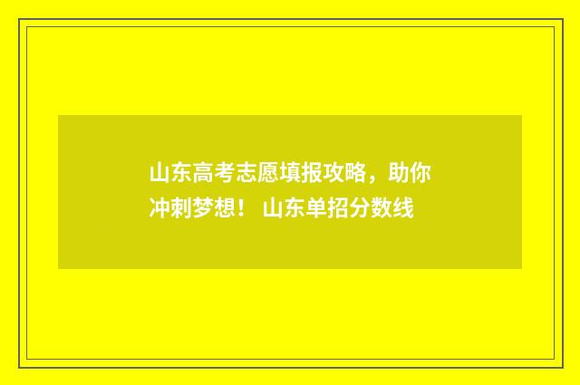 山东高考志愿填报攻略，助你冲刺梦想！ 山东单招分数线