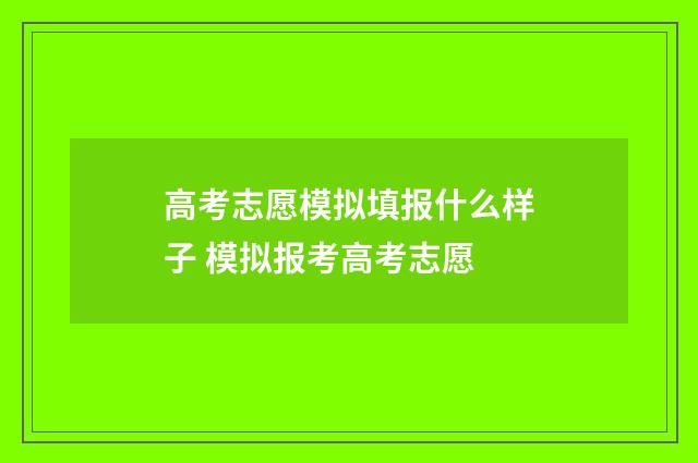 高考志愿模拟填报什么样子 模拟报考高考志愿