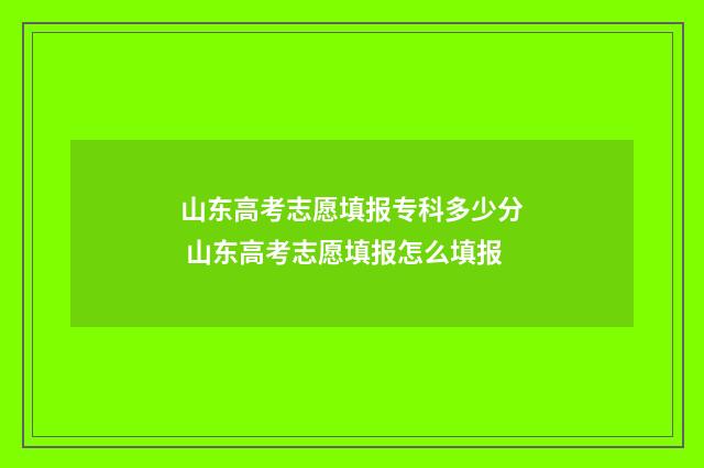 山东高考志愿填报专科多少分 山东高考志愿填报怎么填报