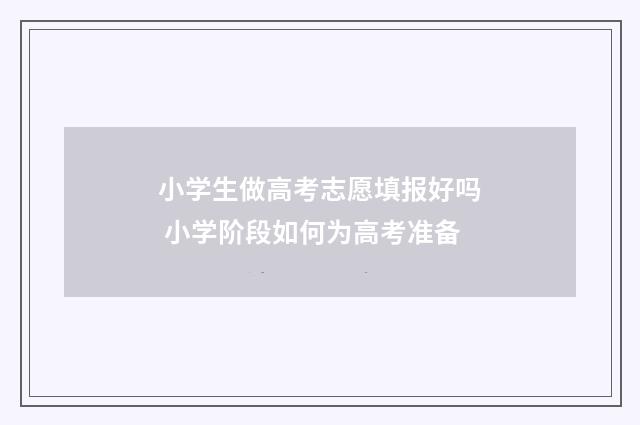 小学生做高考志愿填报好吗 小学阶段如何为高考准备