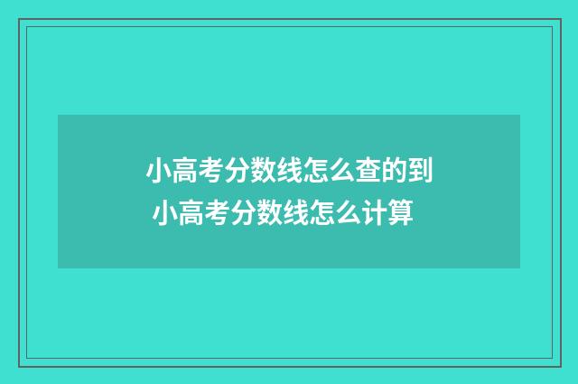 小高考分数线怎么查的到 小高考分数线怎么计算