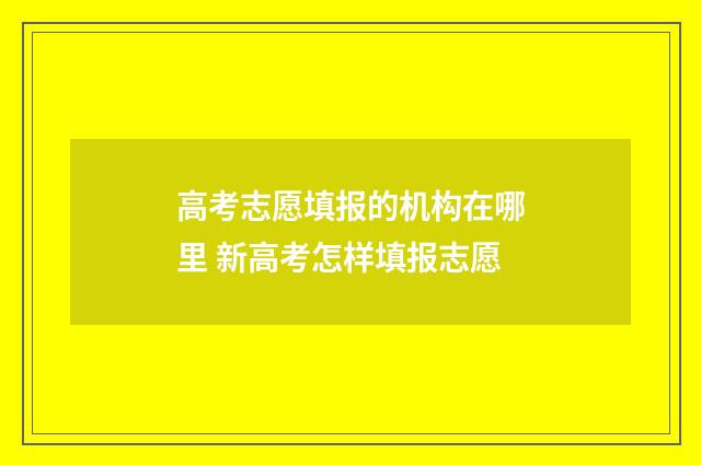 高考志愿填报的机构在哪里 新高考怎样填报志愿